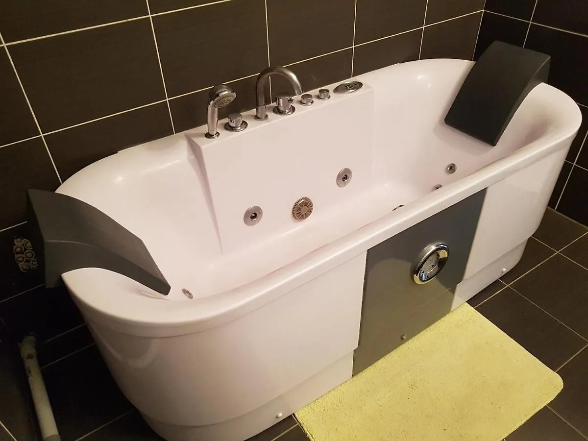 Appartement Duplex Cosy - 3 Chambres Avec Garage, Balcon Et Clim Lyon